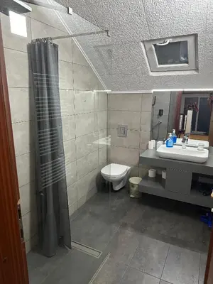 a bathroom with a shower and a toilet and a sink at Pansion 