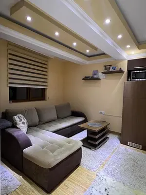 a living room with a couch and a table at Apartment Elvir in Kopaonik