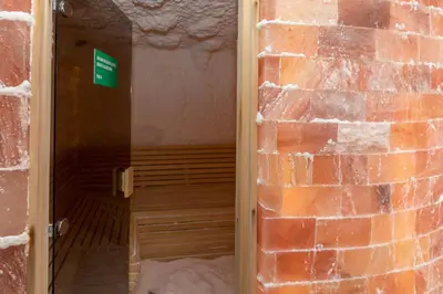 a room with a brick wall next to a door at Apartment Milmari Sunny View G3 in Kopaonik