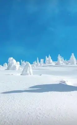 a shadow of a person in the snow at Sunny Kop Čardaci in Kopaonik