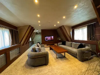 a living room with a couch and a tv at Vip Apartments Kopaonik in Kopaonik