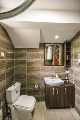a bathroom with a toilet and a sink at Lodge Zeleni svet in Crni Vrh