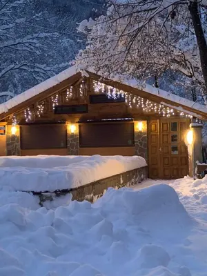 a house covered in snow with lights on it at Lodge Zeleni svet in Crni Vrh