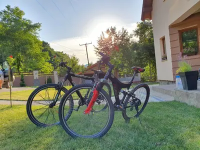 two bikes parked in the grass next to a house at Lodge Zeleni svet in Crni Vrh