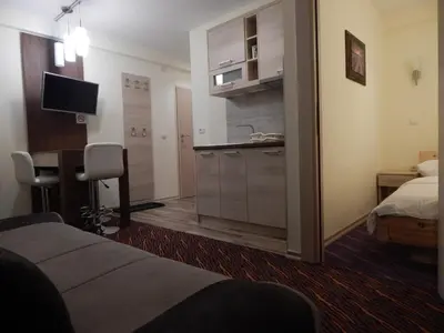 a hotel room with a bed and a sink and a desk at Apartments Zed Vila Zvoncica in Kopaonik