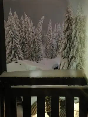 a view of a snow covered forest with trees at Apartments Zed Vila Zvoncica in Kopaonik