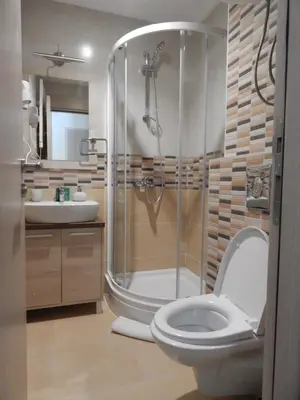 a bathroom with a shower and a toilet and a sink at Apartments Zed Vila Zvoncica in Kopaonik