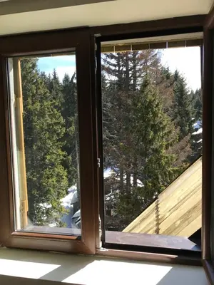a window with a view of the woods at Apartment Koko in Kopaonik