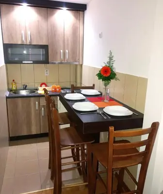 a kitchen with a table with chairs and a sink at Apartmani Tamara in Vrnjačka Banja