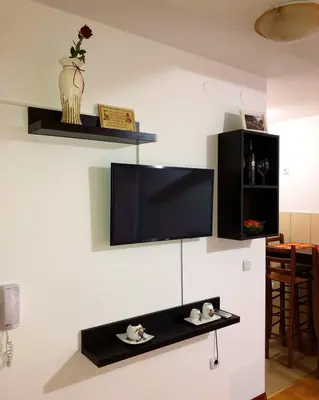 a living room with a tv on a wall at Apartmani Tamara in Vrnjačka Banja