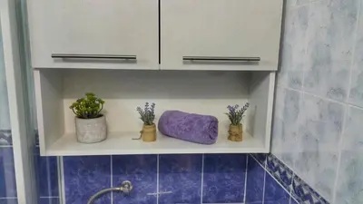 a bathroom shelf with plants and a purple towel at KOP Centar Aviator in Kopaonik