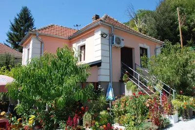 a house with flowers in front of it at 