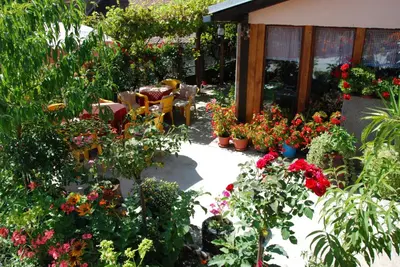 a garden with flowers in pots on a patio at 