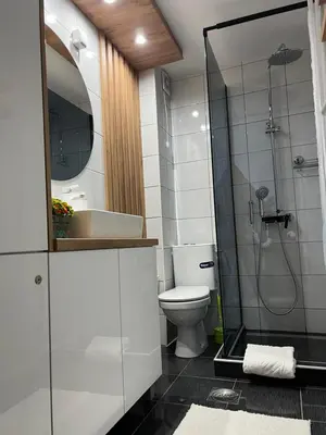 a bathroom with a toilet and a sink and a shower at Holiday Lux Apartment in Soko Banja