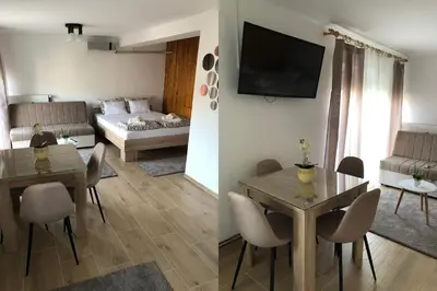 a living room and a bedroom with a table and a couch at Apartments Ivan in Niš