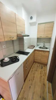 a small kitchen with wooden cabinets and a sink at Apartments Velickovic in Soko Banja