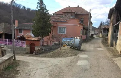 a dirt road next to a house with a tree at Country house Dunjin Konak in Rogljevo