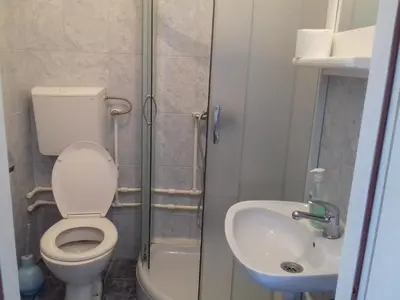 a bathroom with a toilet and a sink at Country house Dunjin Konak in Rogljevo