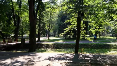 a park with trees and a path at Apartmani LolaNola in Vrnjačka Banja