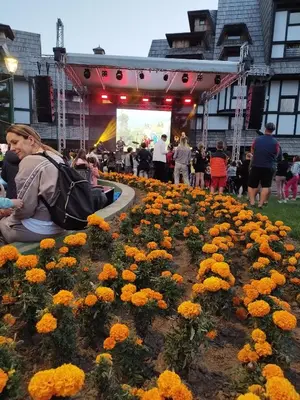 a woman sitting on the ground in a field of flowers at Apartment Dunja Konaci in Kopaonik