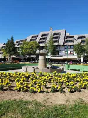 a field of yellow flowers in front of a building at Apartment Dunja Konaci in Kopaonik