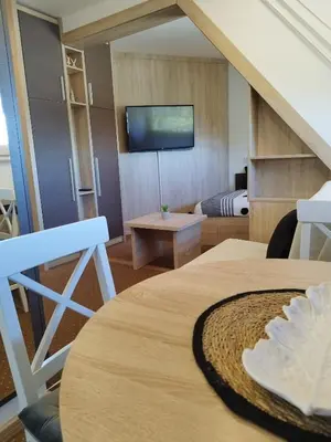 a room with a bed and a table and a couch at Apartment Maja Konaci in Kopaonik