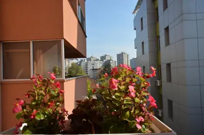 a balcony with pink flowers on a building at Trident Apartments in Niš