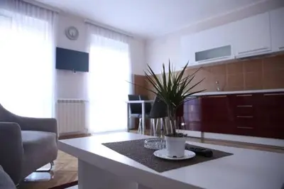 a living room with a table with a plant on it at Apartments Lukic in Vrnjačka Banja
