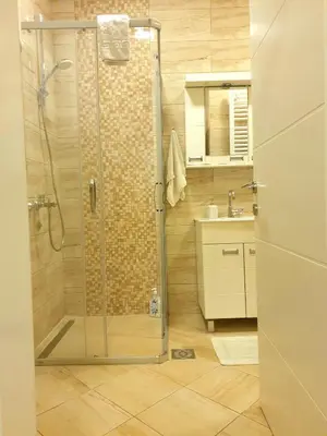 a shower with a glass door in a bathroom at Ceca Apartman in Niš
