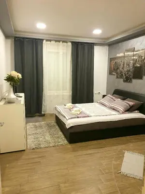 a bedroom with a large bed in a room at Ceca Apartman in Niš