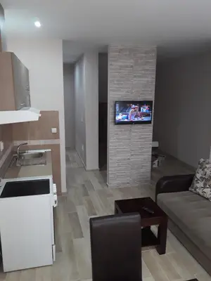 a living room with a couch and a tv on a wall at Apartmani Radulović in Vrnjačka Banja