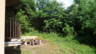 a picnic table and bench in front of a forest at Panorama 5 in Soko Banja