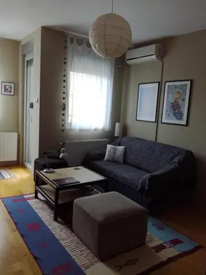 a living room with a couch and a table at Naissa Apartment in Niš