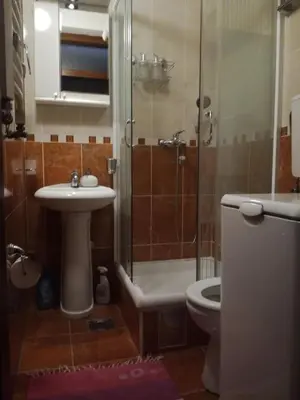 a bathroom with a shower and a sink and a toilet at Naissa Apartment in Niš