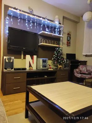 a living room with a tv and a christmas tree at Naissa Apartment in Niš