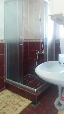 a bathroom with a shower and a white sink at Apartments Petkovic in Soko Banja