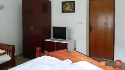 a bedroom with a bed and a tv and a door at Apartments Petkovic in Soko Banja