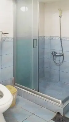 a bathroom with a shower and a toilet at Apartments Petkovic in Soko Banja