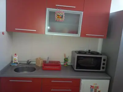 a small kitchen with a sink and a microwave at Studio Pinos in Soko Banja