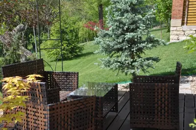 a patio with a table and chairs and a christmas tree at Guesthouse Djurić in Negotin