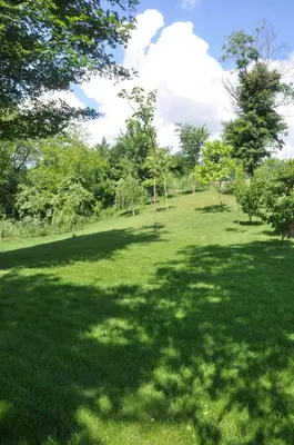 a large grass field with trees in the background at Guesthouse Djurić in Negotin