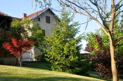 a white house with trees and bushes in a yard at Guesthouse Djurić in Negotin