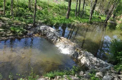 an old stone bridge over a creek in the woods at Guesthouse Djurić in Negotin