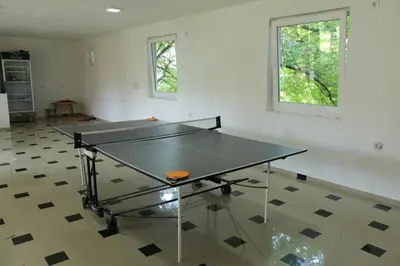 a ping pong table in the middle of a room at Apartmani 