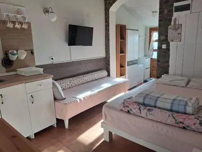 a small room with two beds and a kitchen at Seosko turističko domacinstvo Imunsan in Niš