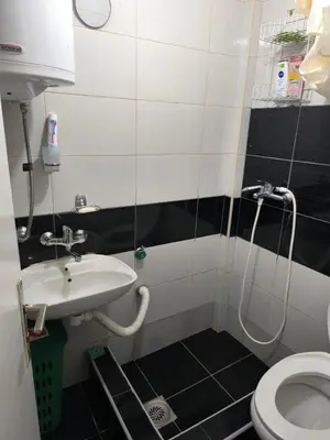 a bathroom with a sink and a toilet at Planinska kuća Vladanka - planina Goč - banjska strana - preko puta ski staze in Biserske Kuće