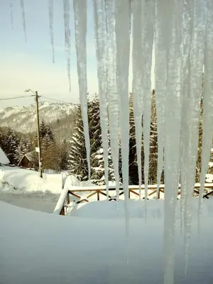 Gallery image of Chalet Diana in Kopaonik