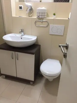a bathroom with a sink and a toilet at B&B Alex18 in Niš