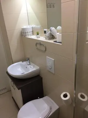a bathroom with a sink and a toilet and a mirror at B&B Alex18 in Niš