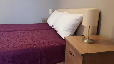 a bedroom with a bed with purple sheets and a lamp at Apartments Tatjana in Jagodina